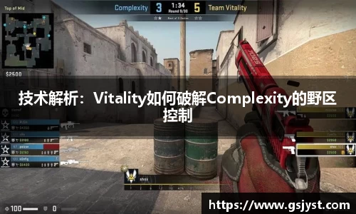 技术解析：Vitality如何破解Complexity的野区控制